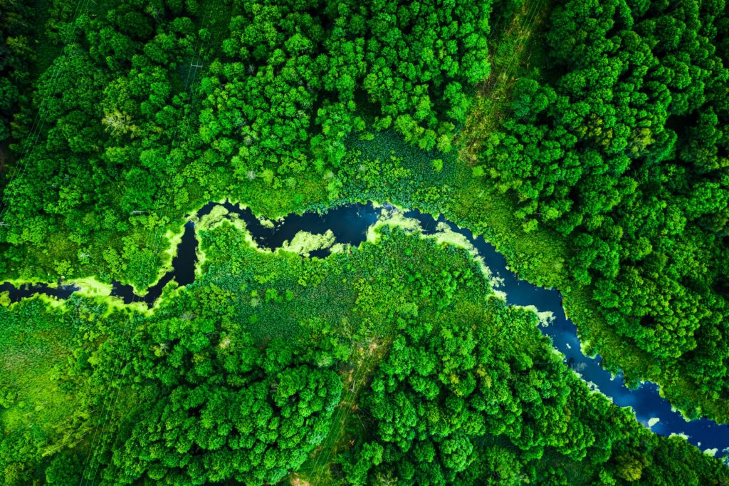 Aufnahme eines blauen Flusses durch grüne Landschaft von oben